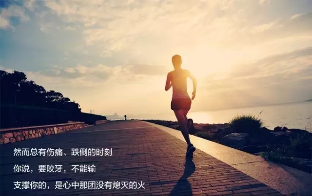 全新凱美瑞十周年紀念版榮耀上市,現接受預定！